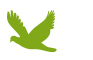 vogel
